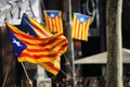 Catalan symbols at Diada independence manifestation