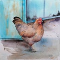 Catalana hen. Poultry farming. Chicken breeds series. domestic farm bird watercolor illustration