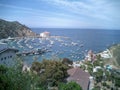 Catalina Royalty Free Stock Photo