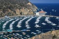 Catalina Royalty Free Stock Photo