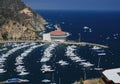 Catalina Royalty Free Stock Photo
