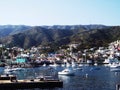 Catalina Harbour Royalty Free Stock Photo