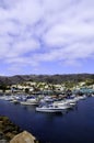 Catalina Island harbor Royalty Free Stock Photo