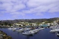 Catalina Island harbor Royalty Free Stock Photo