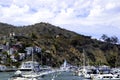 Catalina Island harbor Royalty Free Stock Photo