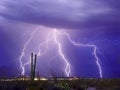 Catalina Lightning Royalty Free Stock Photo