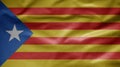 Catalonia independent flag waving in the wind. Close up Catalan estelada banner Royalty Free Stock Photo