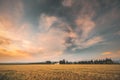 Catalonia, Spain. Summer Evening Sky Above Spanish Countryside Rural Wheat Field Landscape. Yellow Wheat At Sunset Time Royalty Free Stock Photo