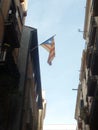 Catalonian flags on display during a pro-independence rally in Barcelona, Spain