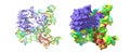 The catalytic core lobe of human telomerase (blue) in complex with histones (pink and brown) and telomeric DNA