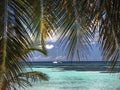 Relaxation in the Caribbean with the azure sea and palms. Royalty Free Stock Photo