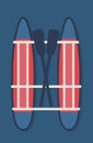 Catamaran with oars top view.Flat vector illustration.