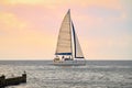 Catamaran in profile in pink evening light