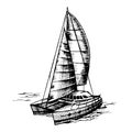 Catamaran sailboat monochrome vector