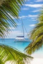 Catamaran sailing boat seen trough palm tree leaves on beach, Seychelles.