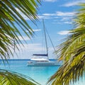 Catamaran sailing boat seen trough palm tree leaves on beach, Seychelles.