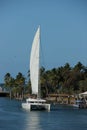 Catamaran Royalty Free Stock Photo