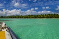 Catamaran sails among azure water, blue sky and palms