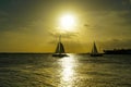 Catamaran sails under Golden Sky Royalty Free Stock Photo