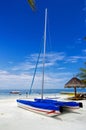 The catamaran Royalty Free Stock Photo