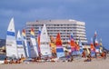 Catamarans in Front of Beacon Island