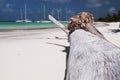 Catamarans in port of Cayo Blanco, Cuba Royalty Free Stock Photo