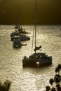 Catamarans and sailboats at the anchorage at Pusser`s Marina Cay at sunset, Marina Cay, BVI