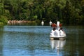 Catamarans in the shape of swans on Black Lake, Lago Negro, in Gramado, Brazil