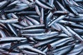 Catania, Sicily, Italy. Sardines, typical mediterranean sea fish sold in Sicilian markets Royalty Free Stock Photo