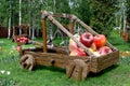 Catapult with apples