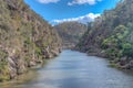 Šedý zákal rezerva na v Tasmánie austrálie 