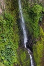 Catarata del toro Waterfall near Poas Volcano, Costa Rica