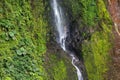 Catarata del toro Waterfall near Poas Volcano, Costa Rica