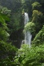 Catarata Zamora waterfall crashes down in Los Chorros park in Costa Rica. Royalty Free Stock Photo