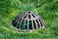 Catch basin atrium drainage grate over storm water drain surrounded by green grass Royalty Free Stock Photo