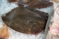 Catch of the day, fresh raw flounder flatfish on ice, healthy seafood Royalty Free Stock Photo