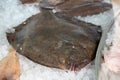 Catch of the day, fresh raw flounder flatfish on ice, healthy seafood Royalty Free Stock Photo