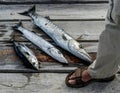 Catch of the day in Guanaja, Honduras