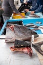 Catch of the day for sale on daily fish market in old port of Marseille, Provence, France Royalty Free Stock Photo