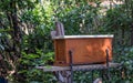 A catch hive to attract swarming bee colonies