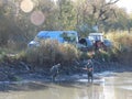 catching and selling carp on the pond dam