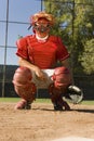 Catcher Gesturing A Hand Sign Royalty Free Stock Photo