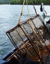 Catching Alaskan King Crab Royalty Free Stock Photo