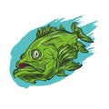 Catching Bass Fish.. Fish Color. Vector Fish. Graphic Fish. Fish On A White Background. Royalty Free Stock Photo