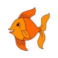 Catching Bass Fish. Fish Color. Vector Fish. Graphic Fish. Fish On A White Background
