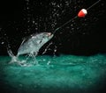 Catching a big fish at night Royalty Free Stock Photo