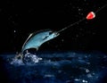 Catching a big fish at night Royalty Free Stock Photo