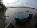 catching and selling carp on the pond dam