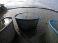 catching and selling carp on the pond dam