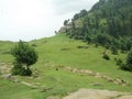 Catchy natural scene of Sudhnoti Kashmir